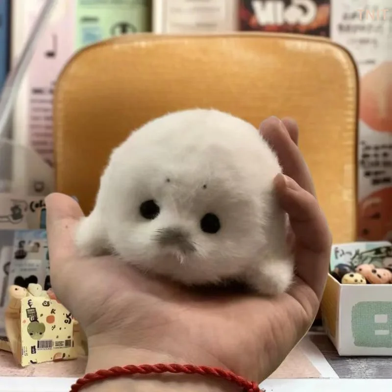 [J] Cute Baby Seal Doll Plush Toy Pendant Simulation Ocean Toy Souvenir Seal Pendant Gift Doll Bag Pendant