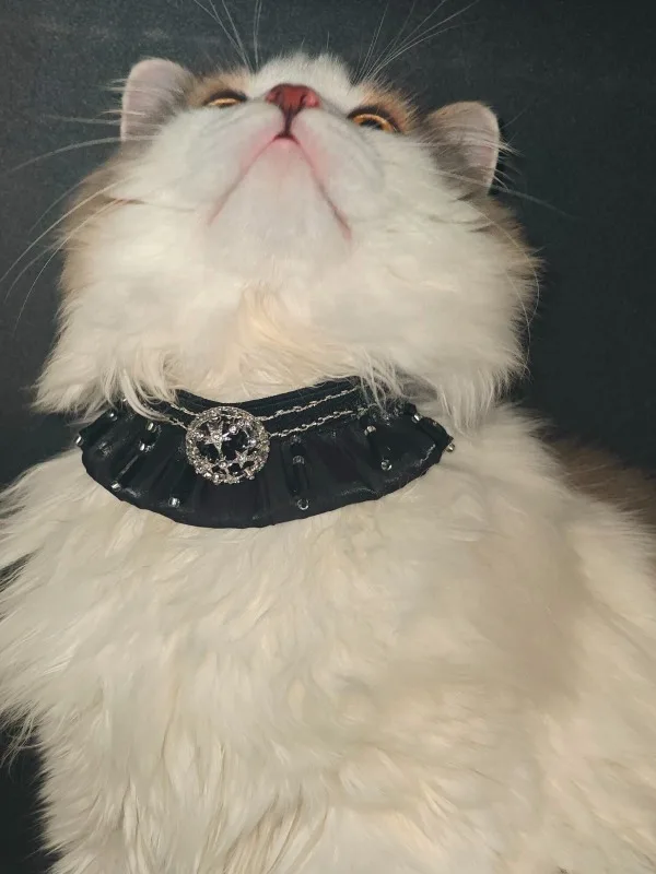 Luxury Sparkling Rhinestone Pet Collar Glossy Satin Ruffle Design Elastic Decor Collar for Daily Wear Beautiful Studio Shooting