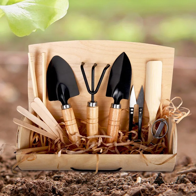 Cross-border biodegradable wooden seed set, creative plant growth gift box, direct sales and wholesale from the manufacturer for
