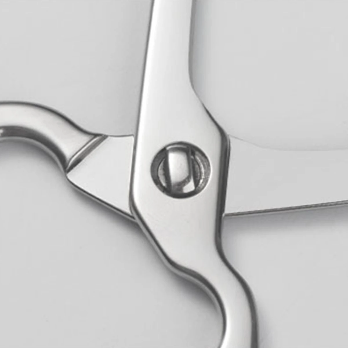 

Baby Food Scissors Stainless Steel BPA-Free,Toddler Safety Kitchen Scissors for Noodles Meat Fruits,Dishwasher Safe & Easy-Clean