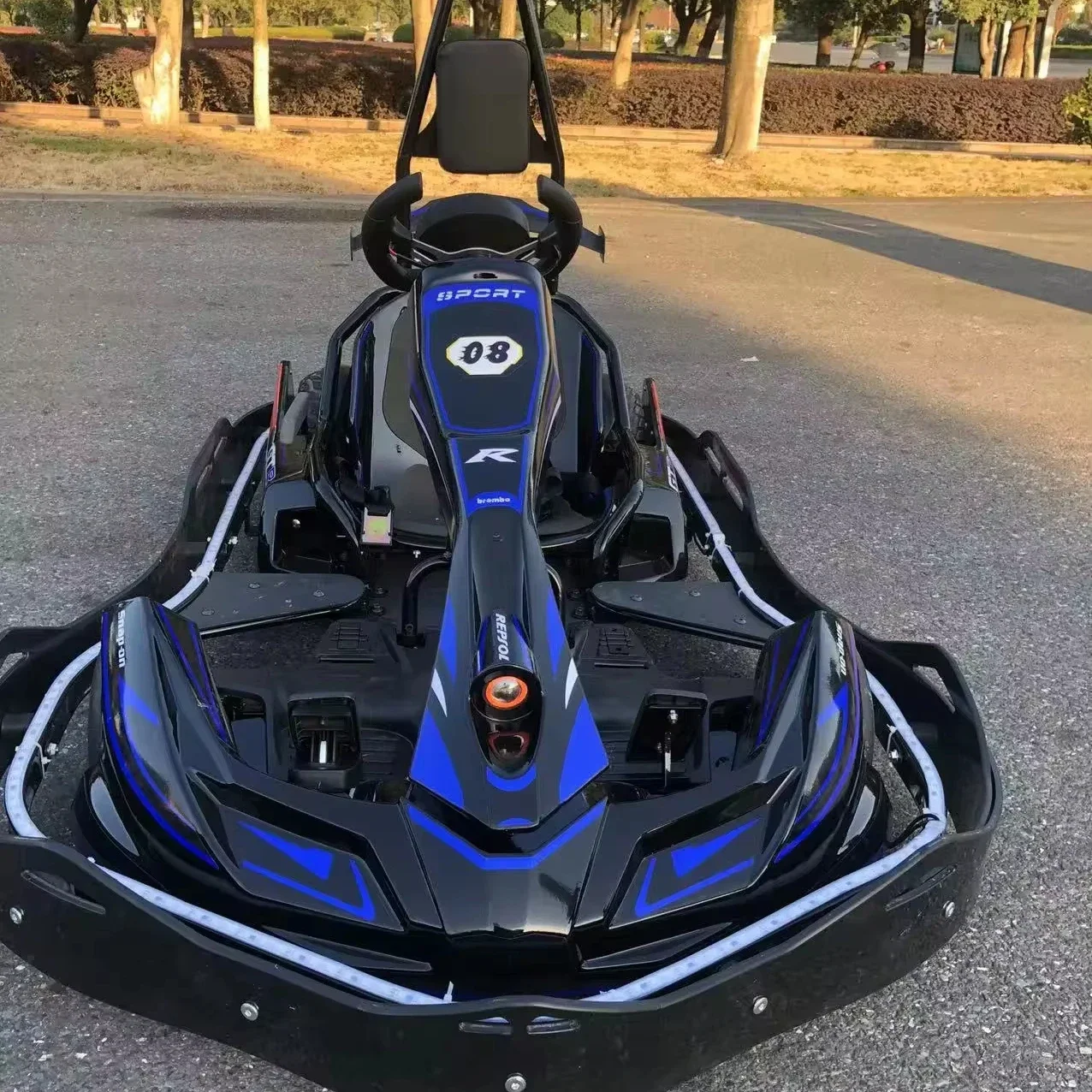 High-speed adult electric karts, professional playground equipment go karts for adults buggy go kart