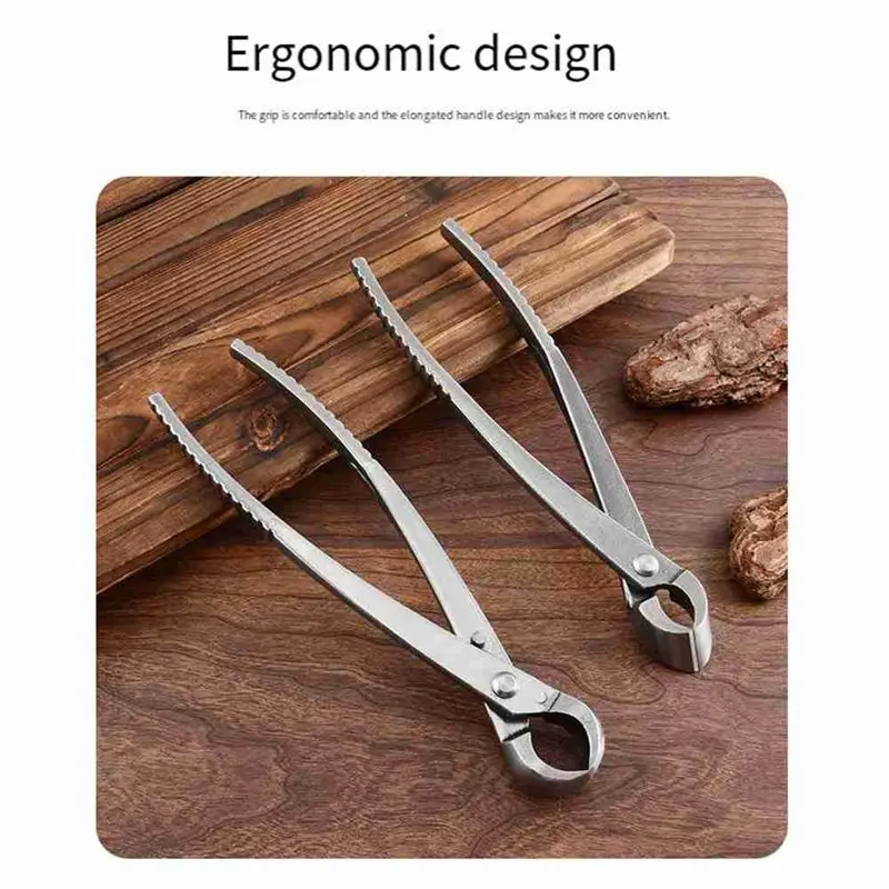 A20F-Bonsai Tree Tools, 4 Piece Bonsai Tools Set Including Knob Cutter, Concave Cutter, Plant Care And Root Hook