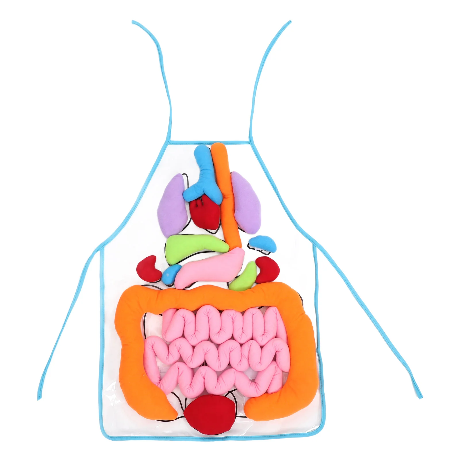 

Органный фартук, человеческие органы, Детские обучающие игрушки для младенцев, набор для девочек, вспомогательное устройство для дошкольного обучения, 3D тело, плюшевый малыш, малыш