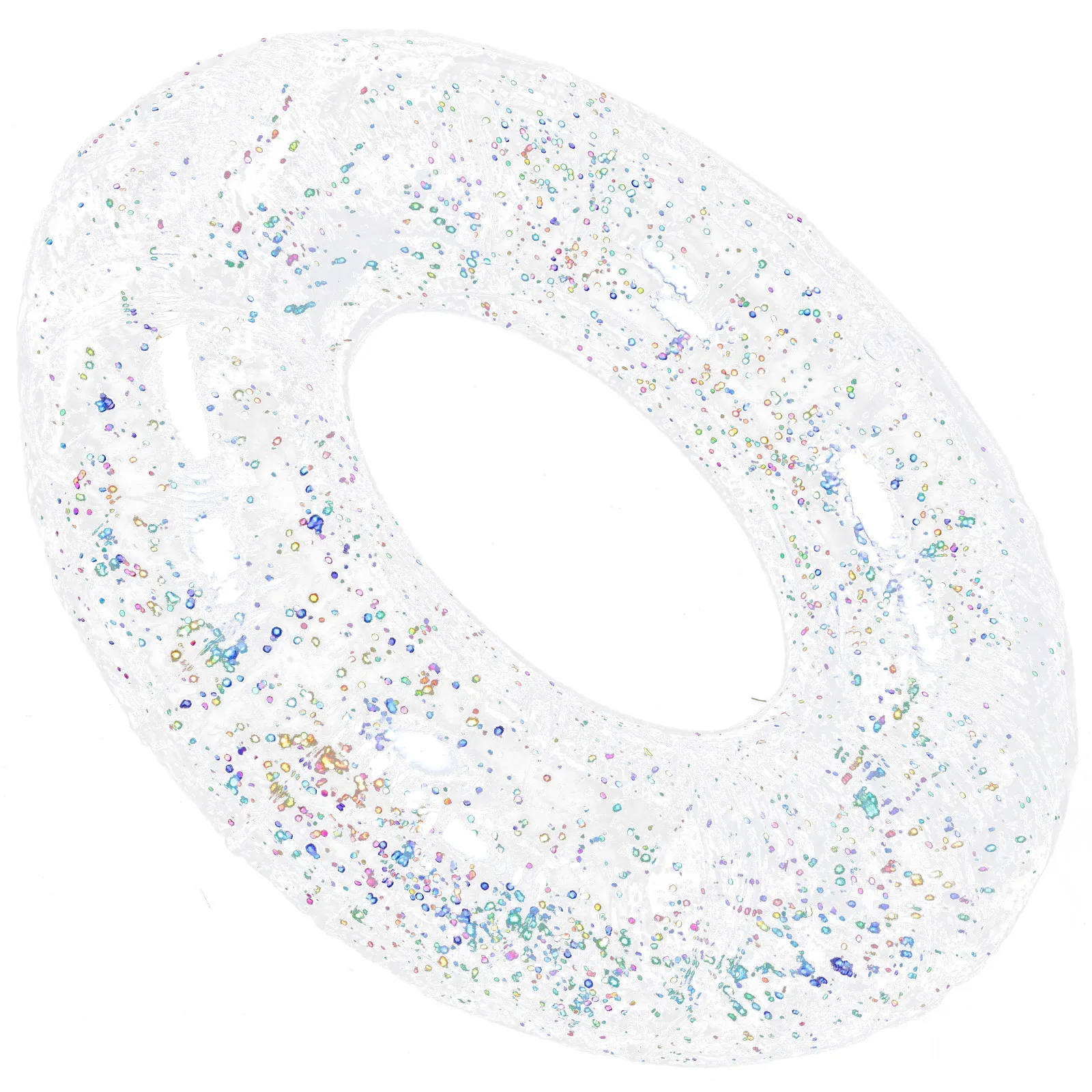 

Inflatable Transparent Swim Ring Glitter Sequins Large Size Lightweight Pool Float Ring Swimming Tube for Adults Beach Party