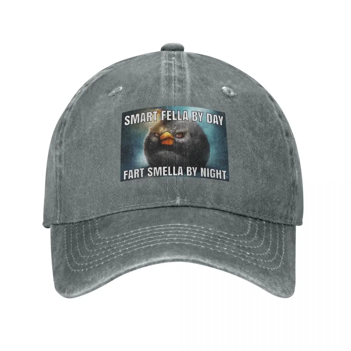 smart fella by day fart smella by night Baseball Cap Hat Luxury Brand Horse Hat Caps Women Men's