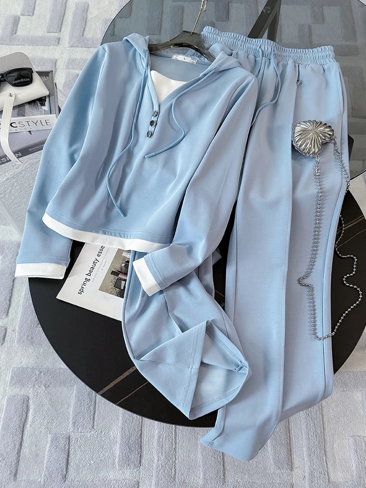 Blue Sporty Wide Leg Pants And Hoodie Two Piece Set Casual Autumn Outfit for Women Fashionable Anti Aging Look by La La Shang