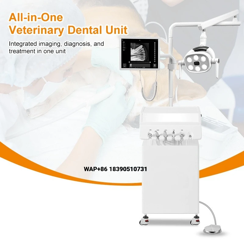 OliveVet Electric Mobile LED Shadowless Oral Light, Air Compressor, Hand Push Endoscope Scaler, Portable Veterinary Thera