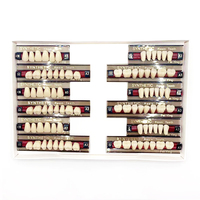 3 Sets/ Box Dental Resin Teeth Full Mouth Polymer Denture Economical Tooth A2 A3 2 Layers Dentistry Materials Wear-resistant