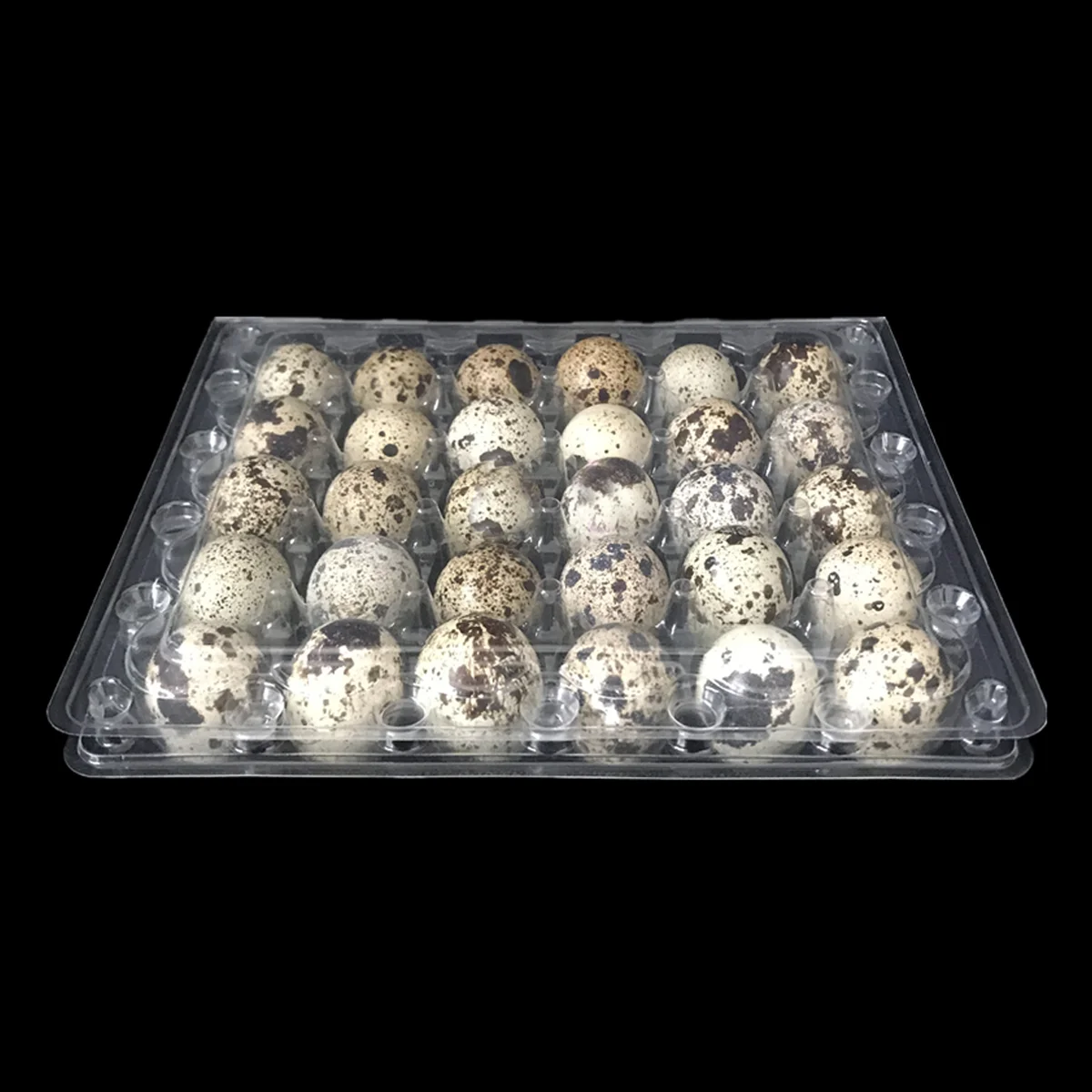 12 Pcs Food Grade Quail Egg Tray Mazing Stand Plastic Trays for Deviled Eggs Storage Container