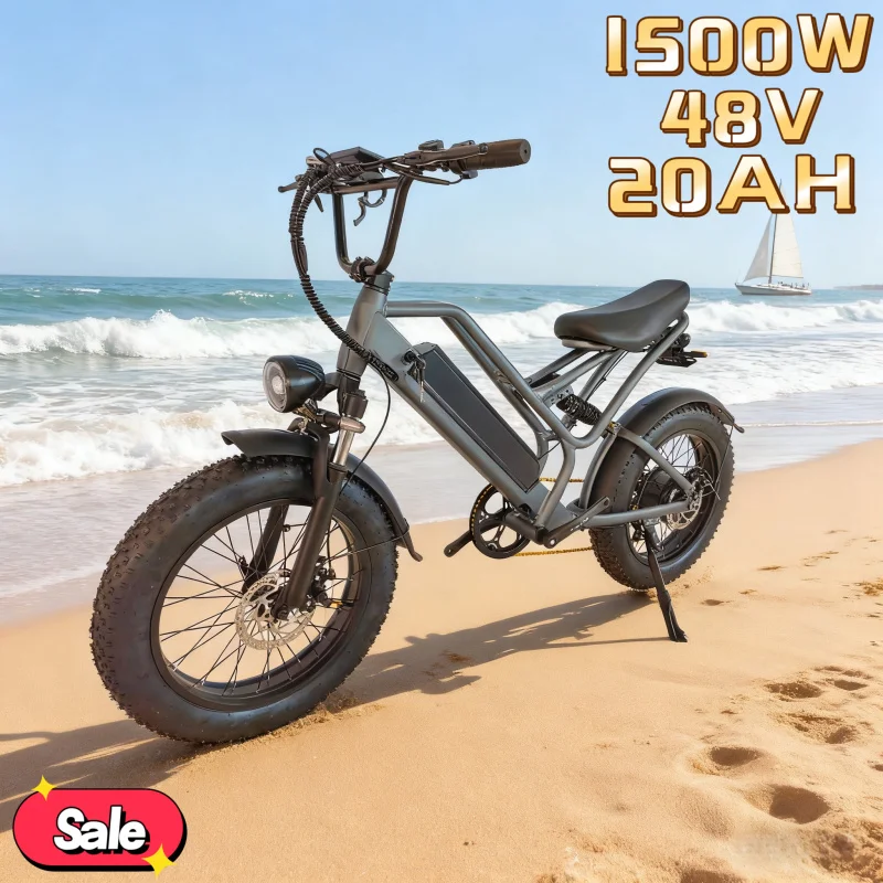 

E-bike1500W motor, 48V 20AH high-efficiency battery electric bicycle, high-performance shock-absorbing off-road electric bike