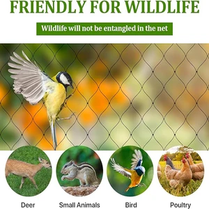 8ベストセールスブラックネット-11