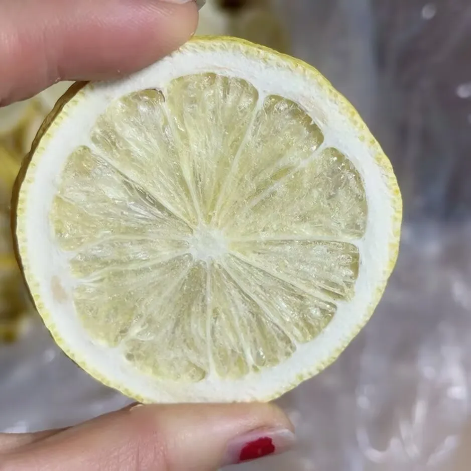 Top Natural Lemon Slice Freeze Drying Lemon Dried Fruit Bulk For Diy Resin Jewelry Beauty Soap Making Candle Material Supply