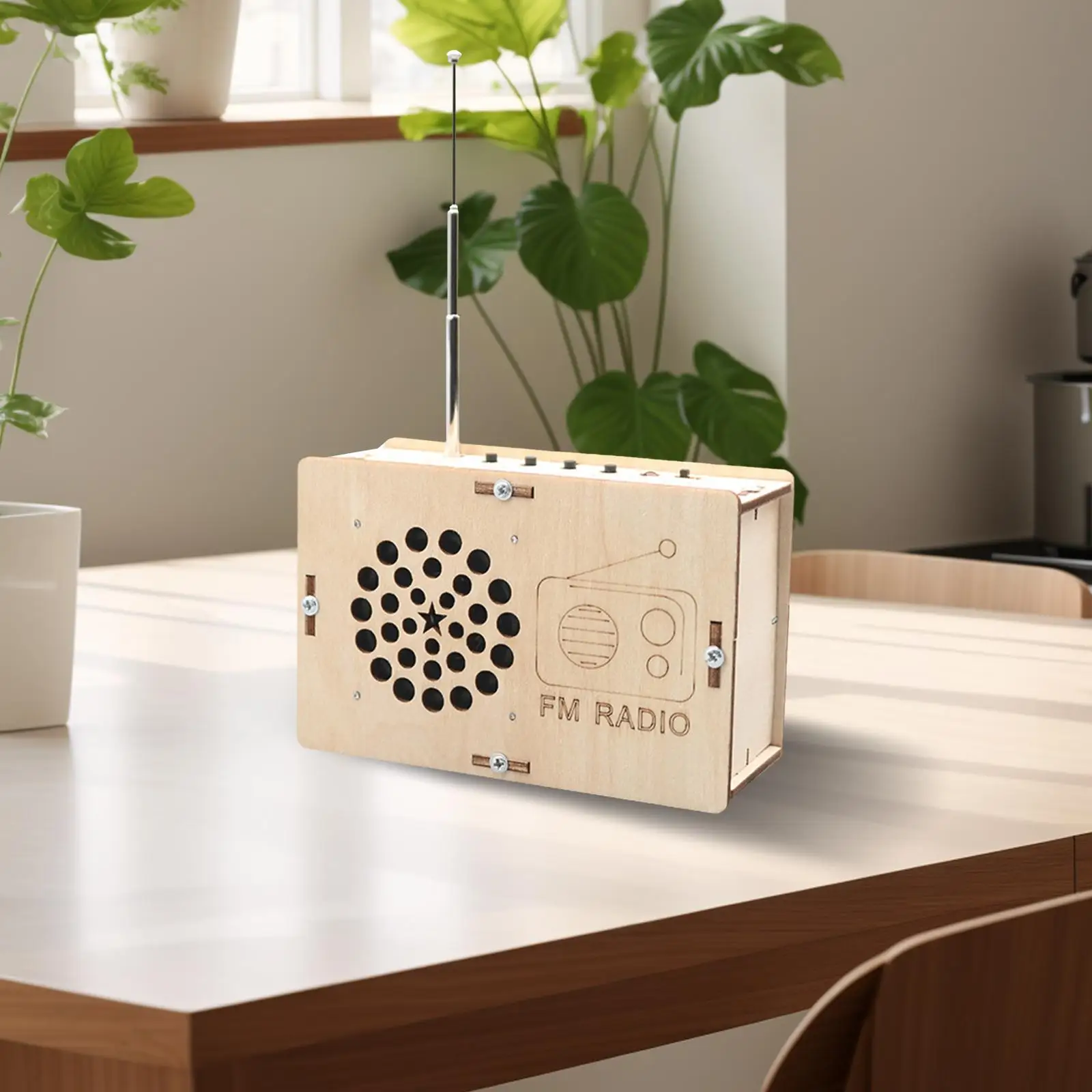 DIY Radio Model Wood Science Project Model for Children Teens Birthday Gift