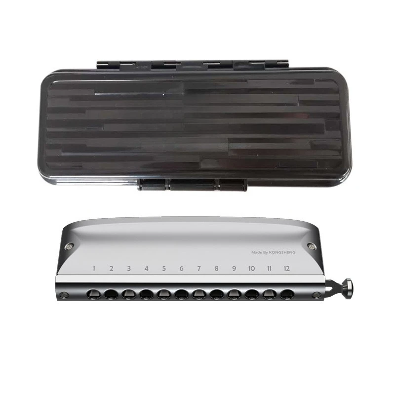 

Percussion Lyra Chromatic Harmonica 12-hole playing inflection instrument
