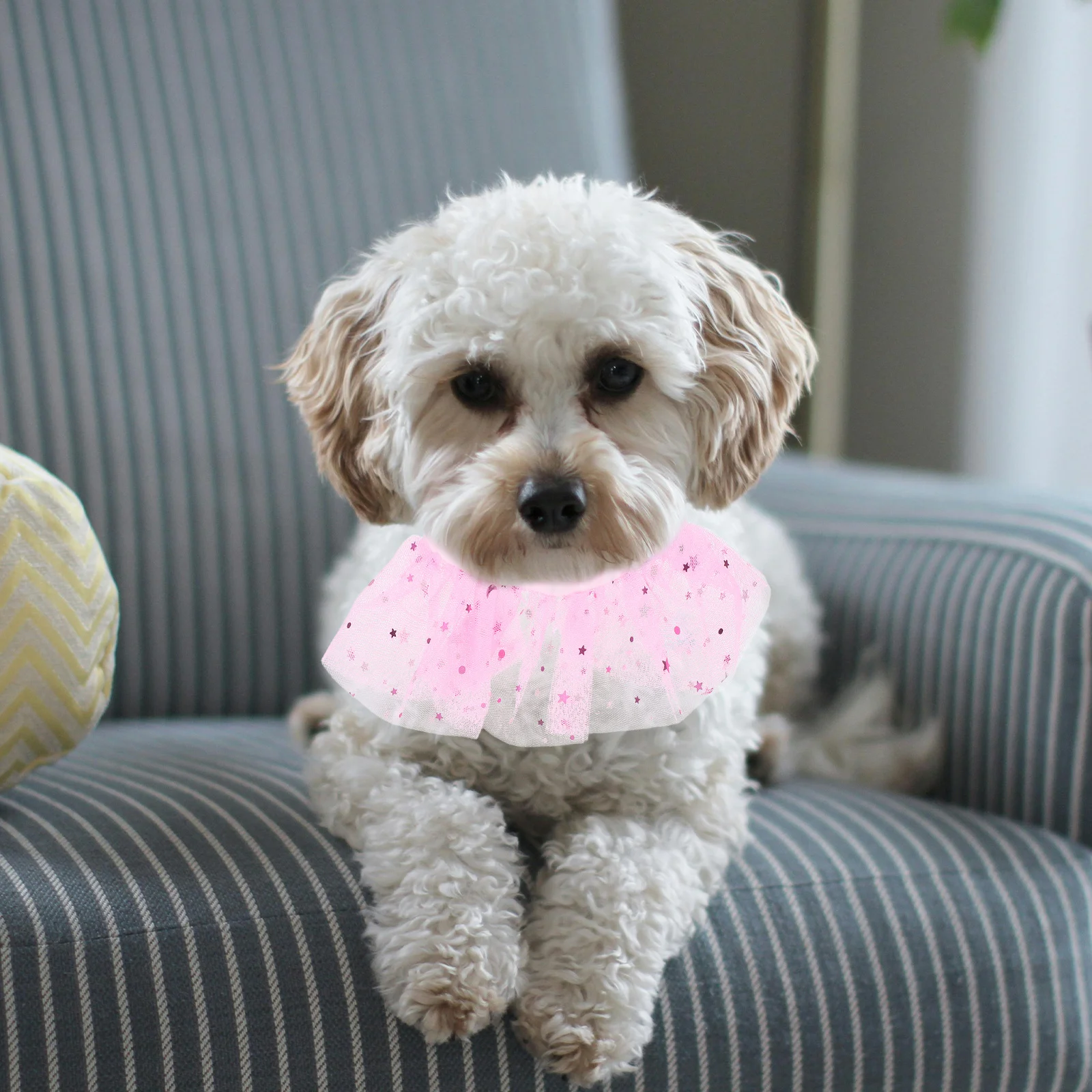 

Pet Lace Scarf Adjustable Collar Cute Bandana Dress Up Accessories for Cats Dogs Fashion Bib Pet Scarf Collar Kitten Bandana