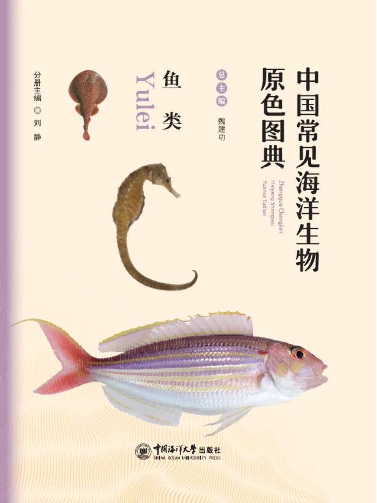 

Book-Winshare Original Color Illustration Of Common Marine Life in China Fish