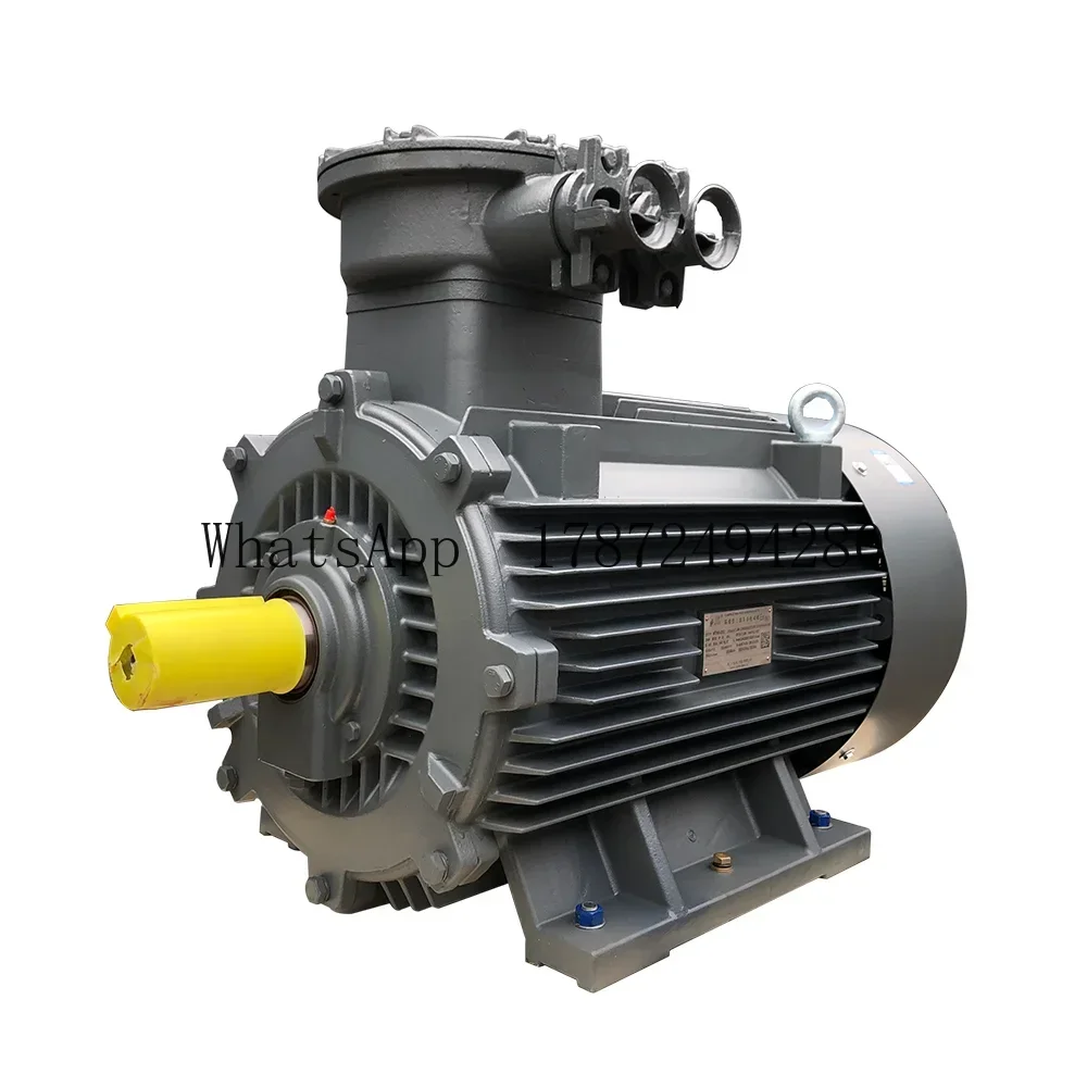Asynchronous Three Phase Electric Explosion Proof/ Flame Proof Motor for Cement Plant