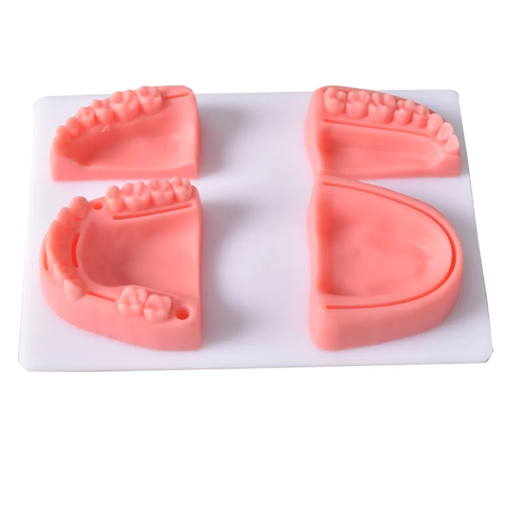 Рисунок 4 - Профессиональная практика обучения