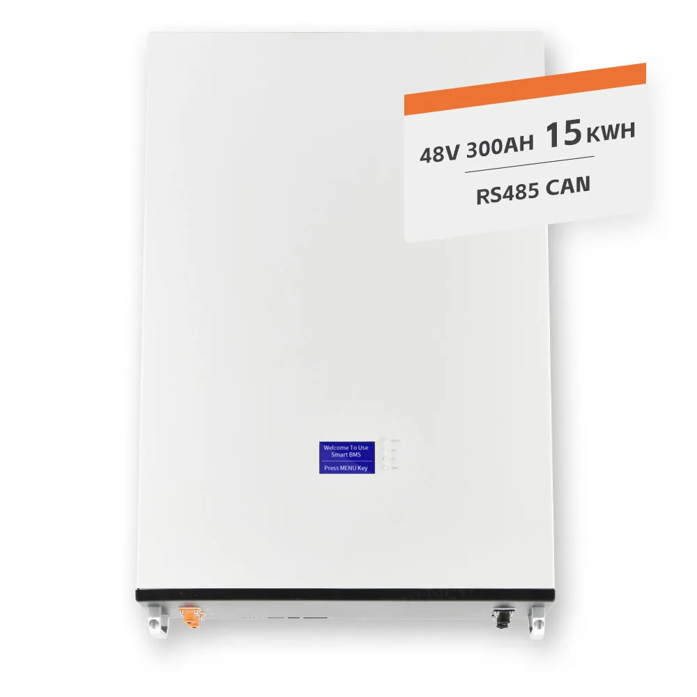 

Lifepo4 51.2V 48V 300Ah 15 17 Kwh Lithium Solar Battery With CAN Communication Port For Hybrid Grid Home Solar Power Systems