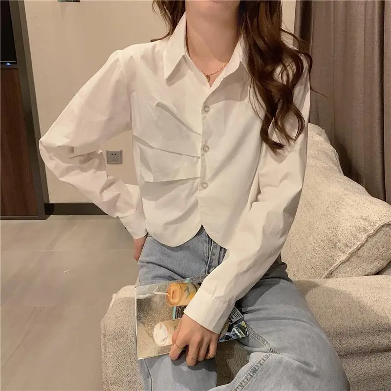 2024 Spring and Autumn New Elegant Women\'s Shirt Long-sleeved Base Shirt Women\'s Loose Chiffon Shirt Inner and Outer Blouse