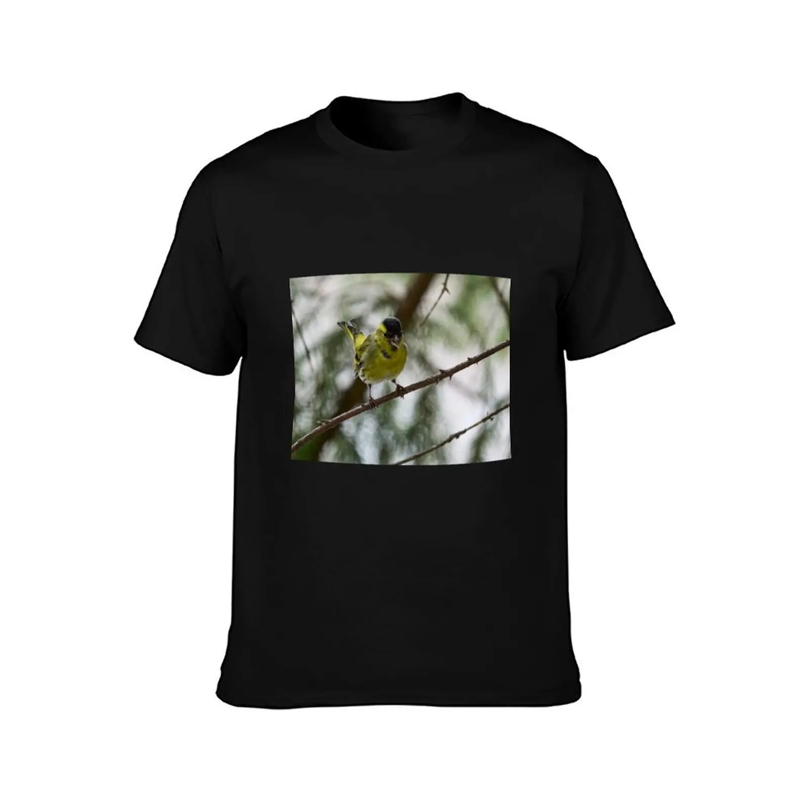 Tweeting Siskin T-Shirt Plus Size Loose Fit T-Shirt