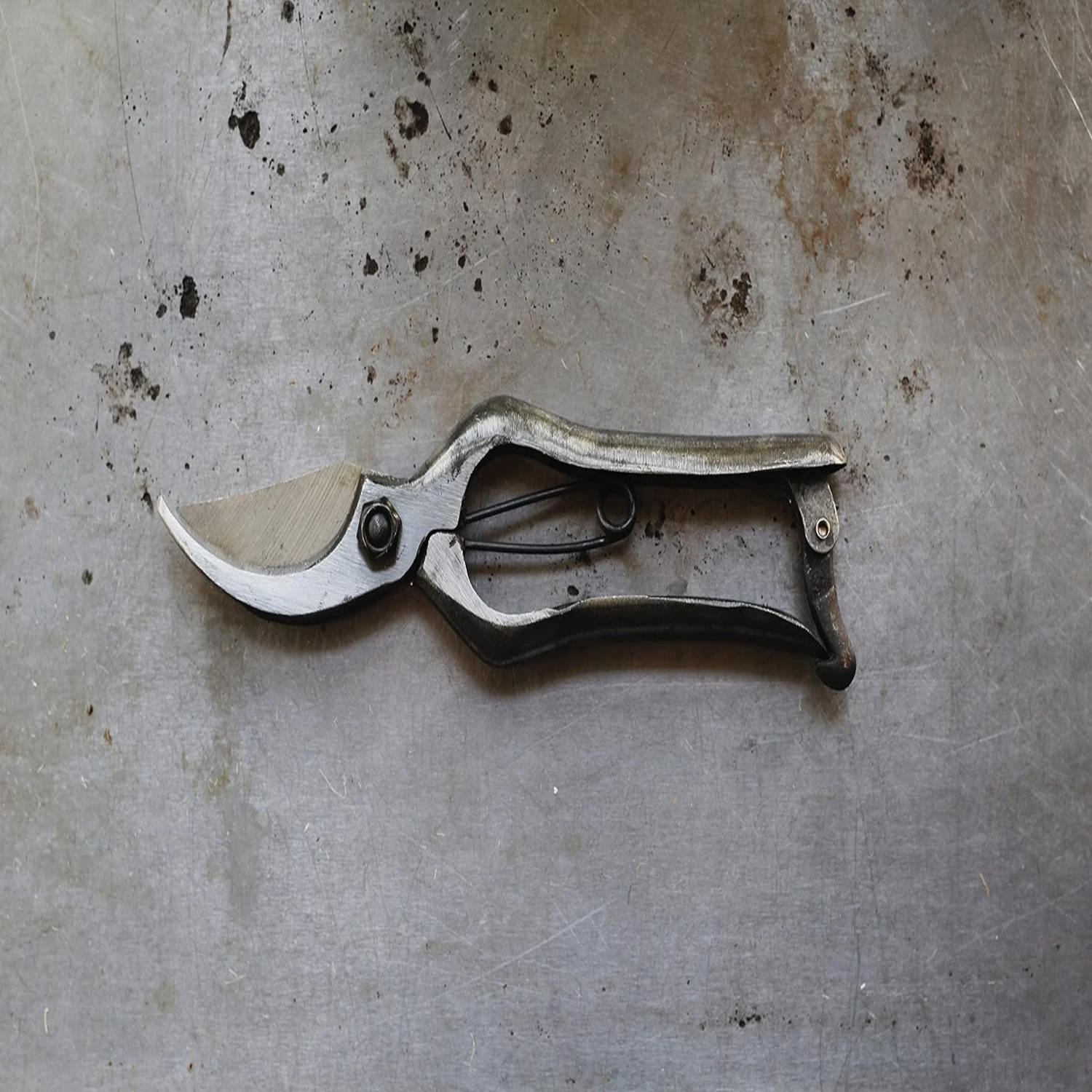 

High-Quality, Ergonomically Designed Garden Shears with Comfortable and Razor-Sharp Blades - Ideal for Precise Trimming and Effi