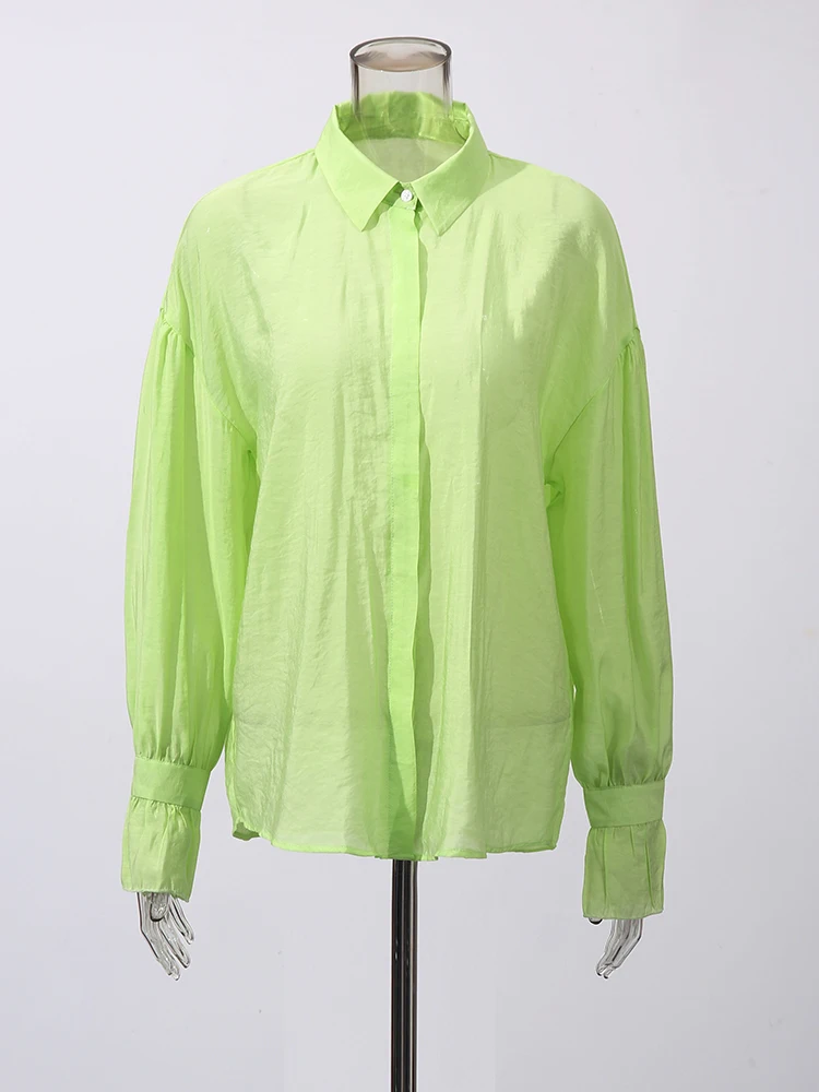 TWOTWINSTYLE Solid Loose Minimalist Blouses For Women Lapel Long