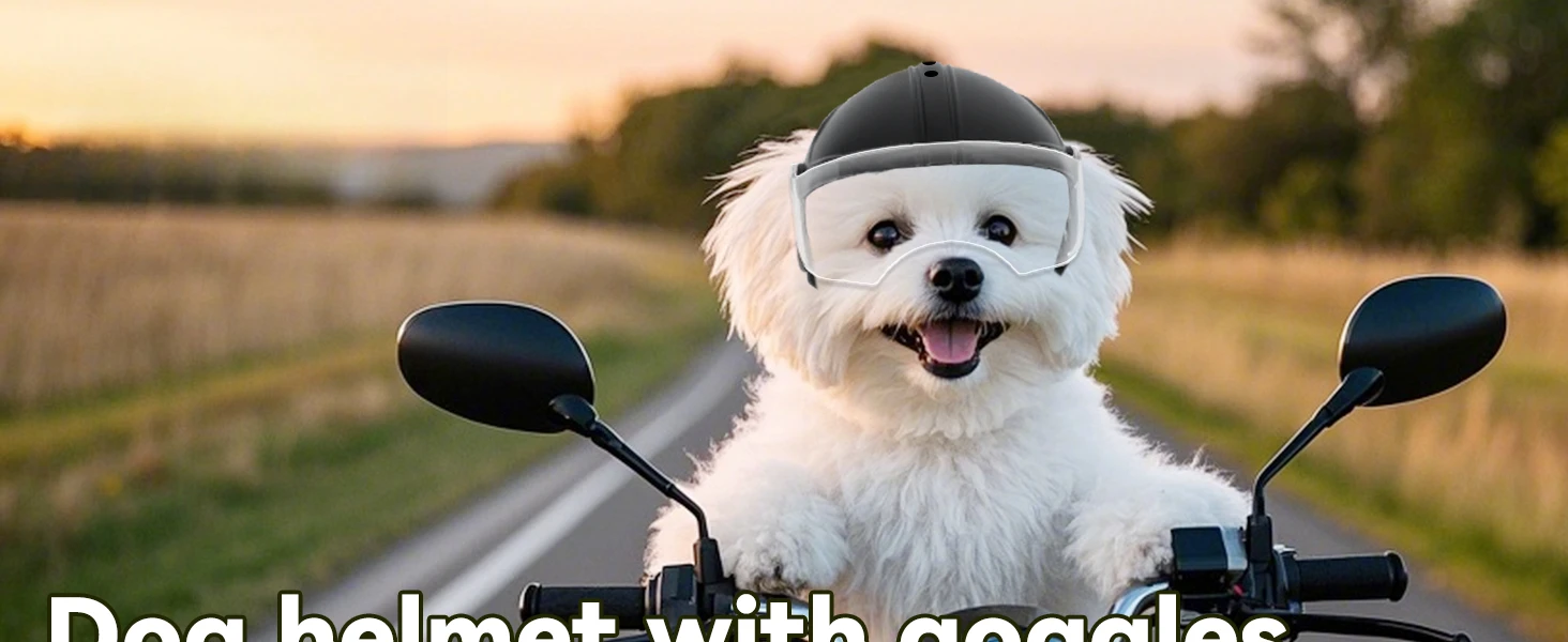 dog helmet