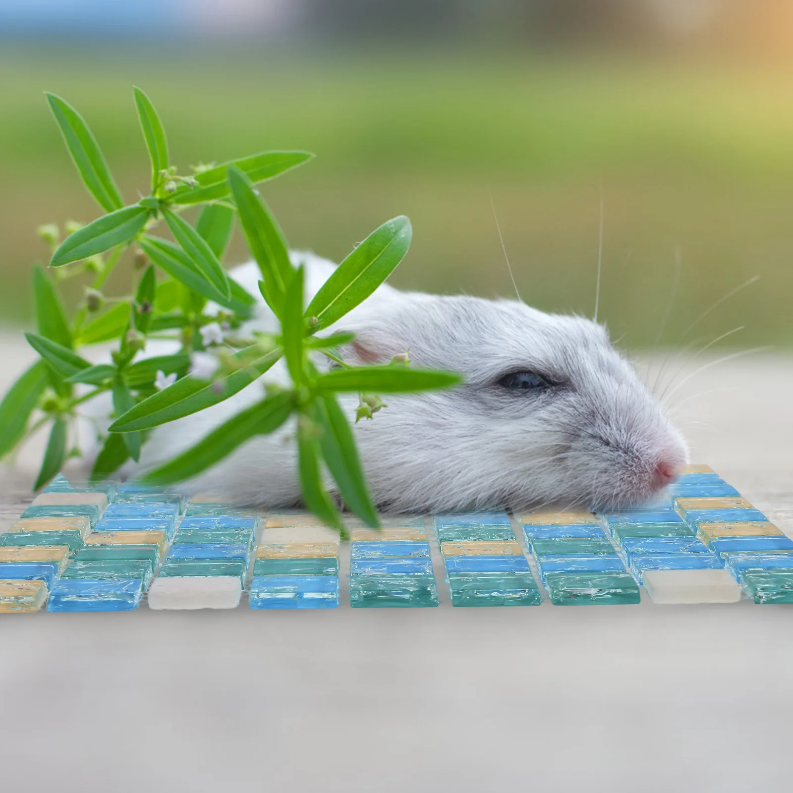 

Hamster Summer Cooling Pad Bite Resistant Small Pet Mat With Breathable Mesh For Guinea Pig Bunny Pet Summer Bed