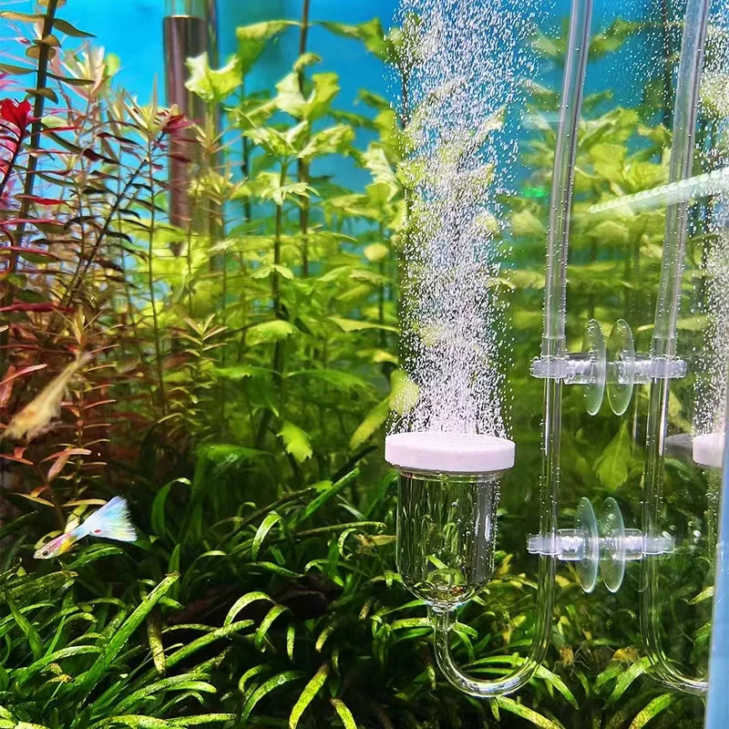 1Set Glass Air Pump…