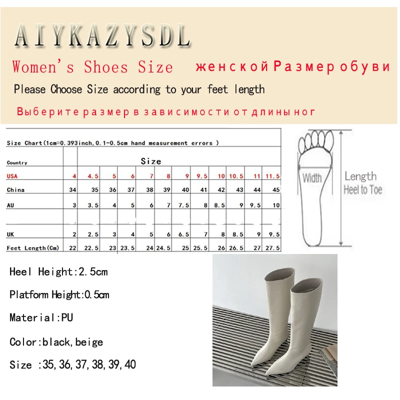 AIYKAZYSDL Fashion Kitten Low Heel Knee High Boots Women Black Beige Point Toe Autumn Winter Boots Stylish Shoes Botas Mujer DX