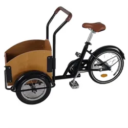 Fashion Europe Beautiful 3 Wheel Cargo Bike Kid's Bike Child Cargo Bike Kid Tricycle for Sale