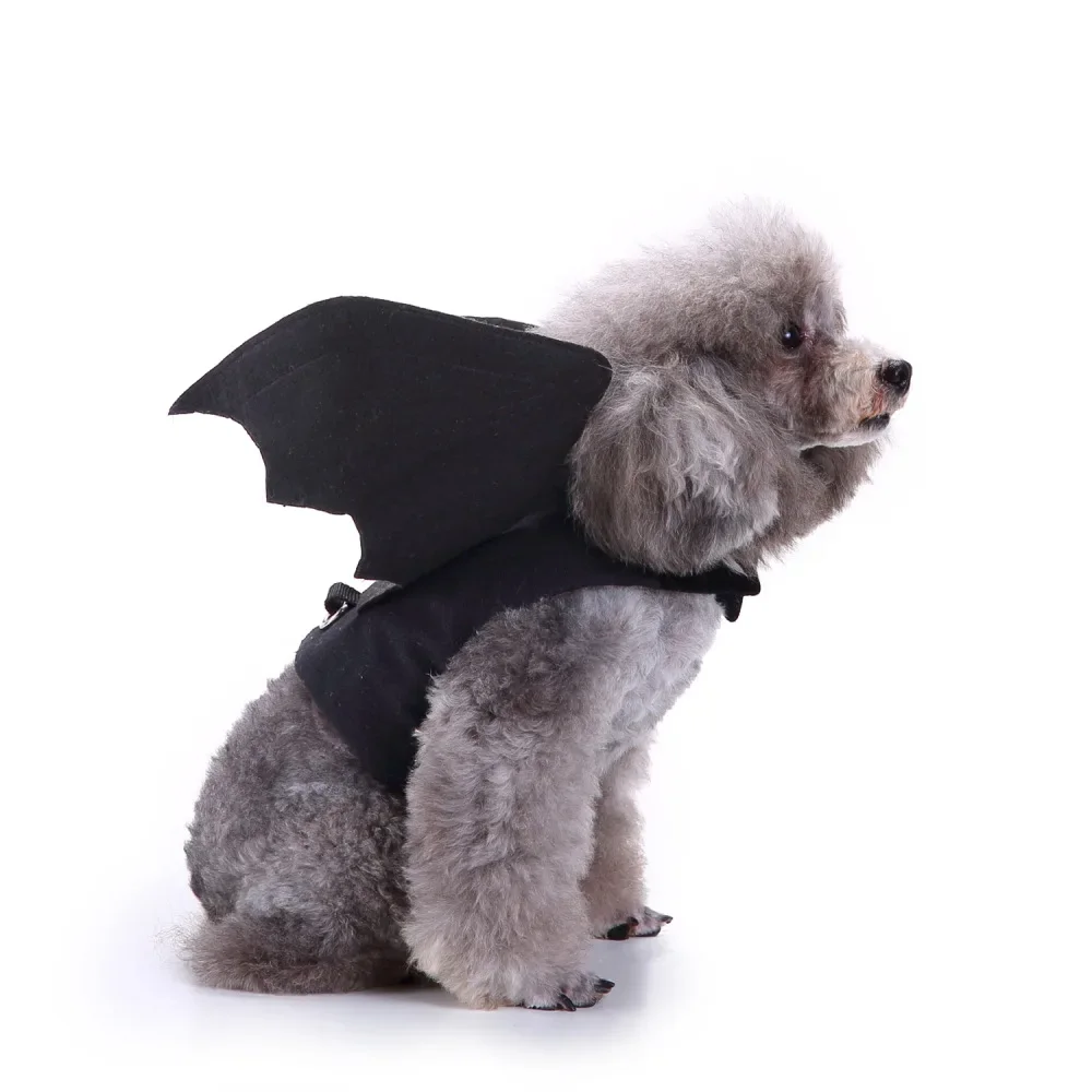 Teddy clothes than bear funny bat costume riding cat costume pet dog halloween christmas clothes