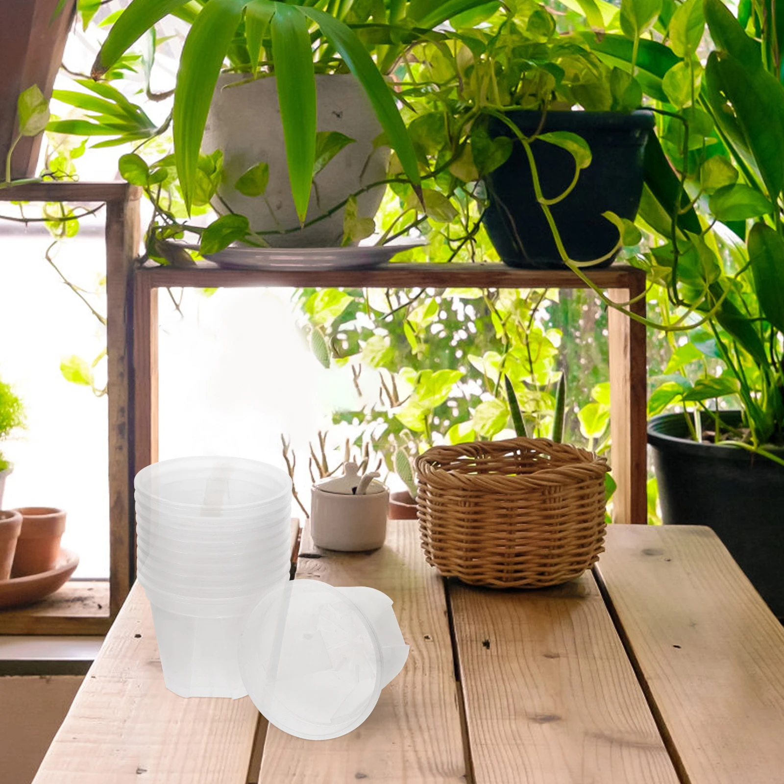 

10 Pcs Decorate Root Control Pots Plants Small for Plastic Clear Nursery with Drainage