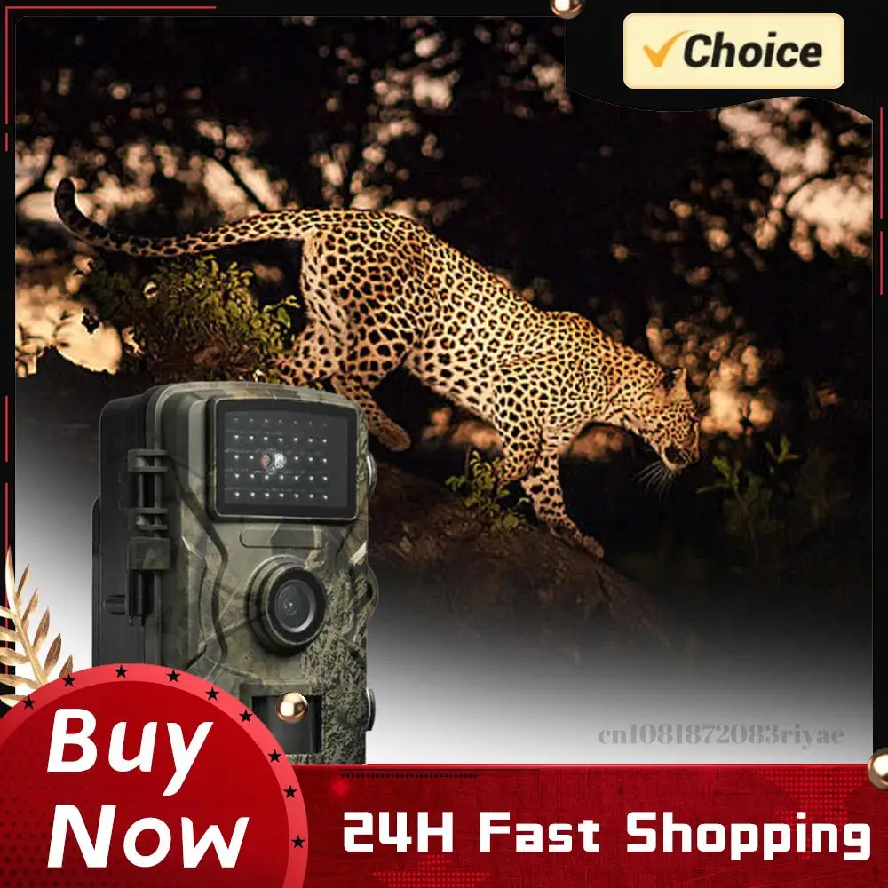 

Водонепроницаемая инфракрасная камера для охоты с ночным видением, активируемая движением, для наблюдения за дикой природой на открытом воздухе