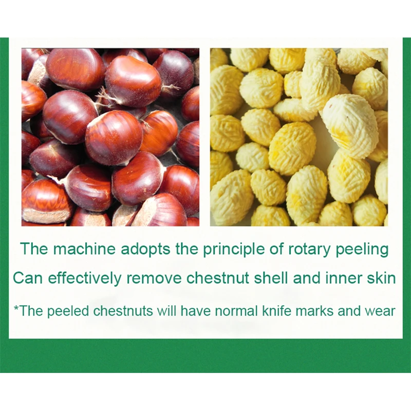 220 فولت الكستناء المقشر 6-220BL قصف صغير وتقشير الكستناء قطعة أثرية آلة تجارية أوتوماتيكية 350 واط 1 قطعة