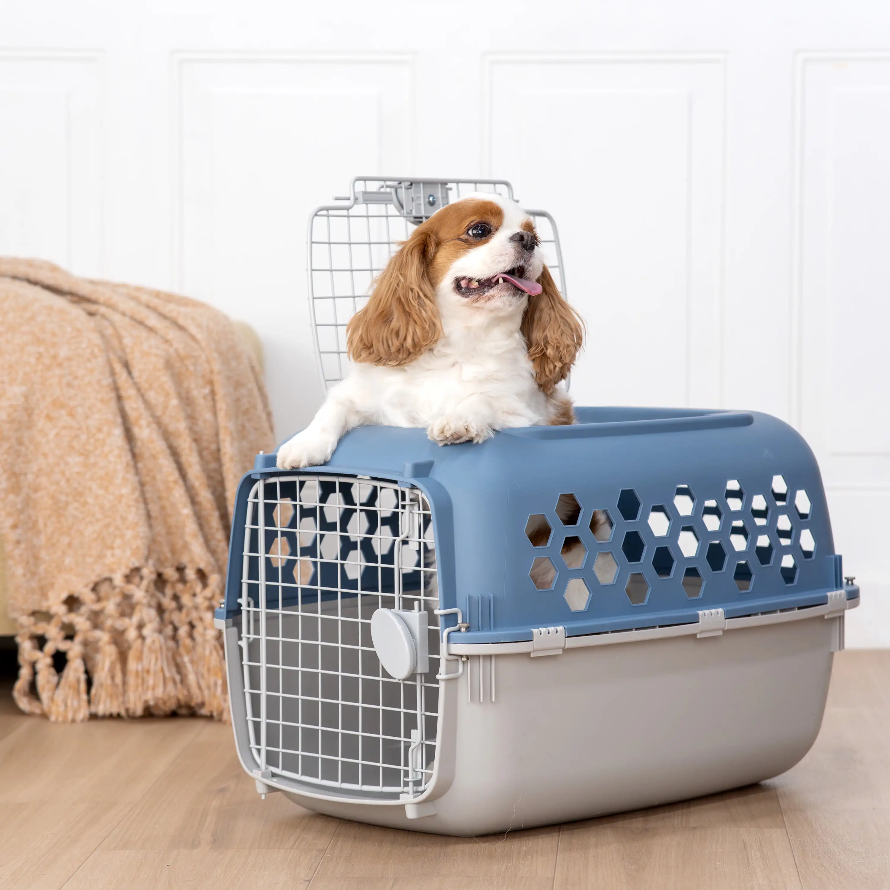 Double Door Dog Kennel with Top Opening Multicolor 24 in Features A Neutral Blue Top with A Gray Top Handle