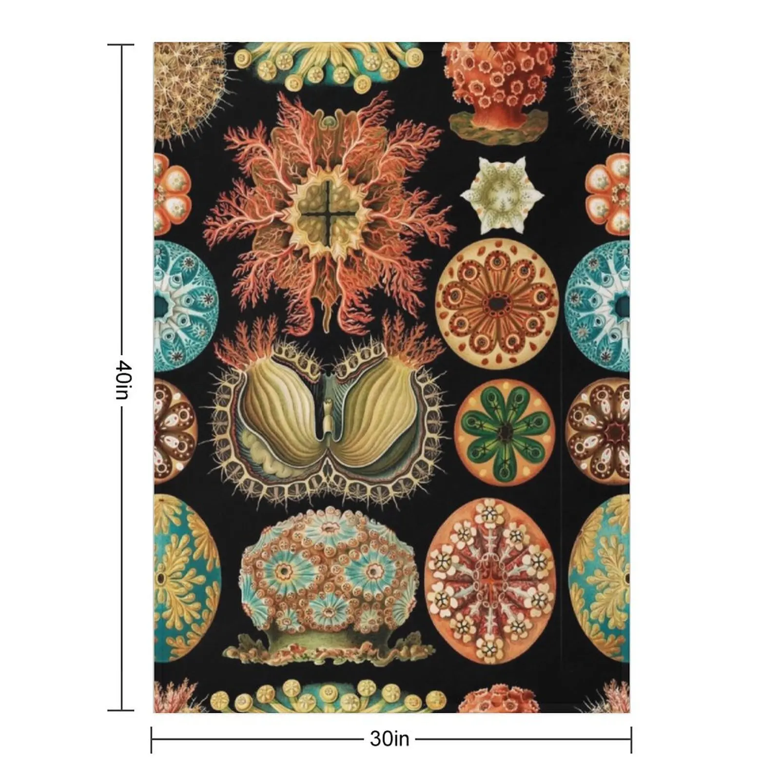 Ascidiacea - رمي بطانية بطانية أرائك للديكور على الشاطئ لبطانيات فروي للأطفال #2