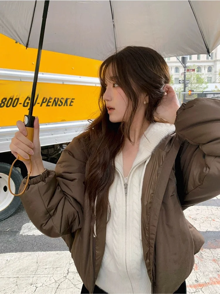 Abrigo coreano Sle Jaet con capucha y cremallera para mujer, prendas de vestir exteriores holgadas de algodón, longitud ort, Color, invierno, recién llegado