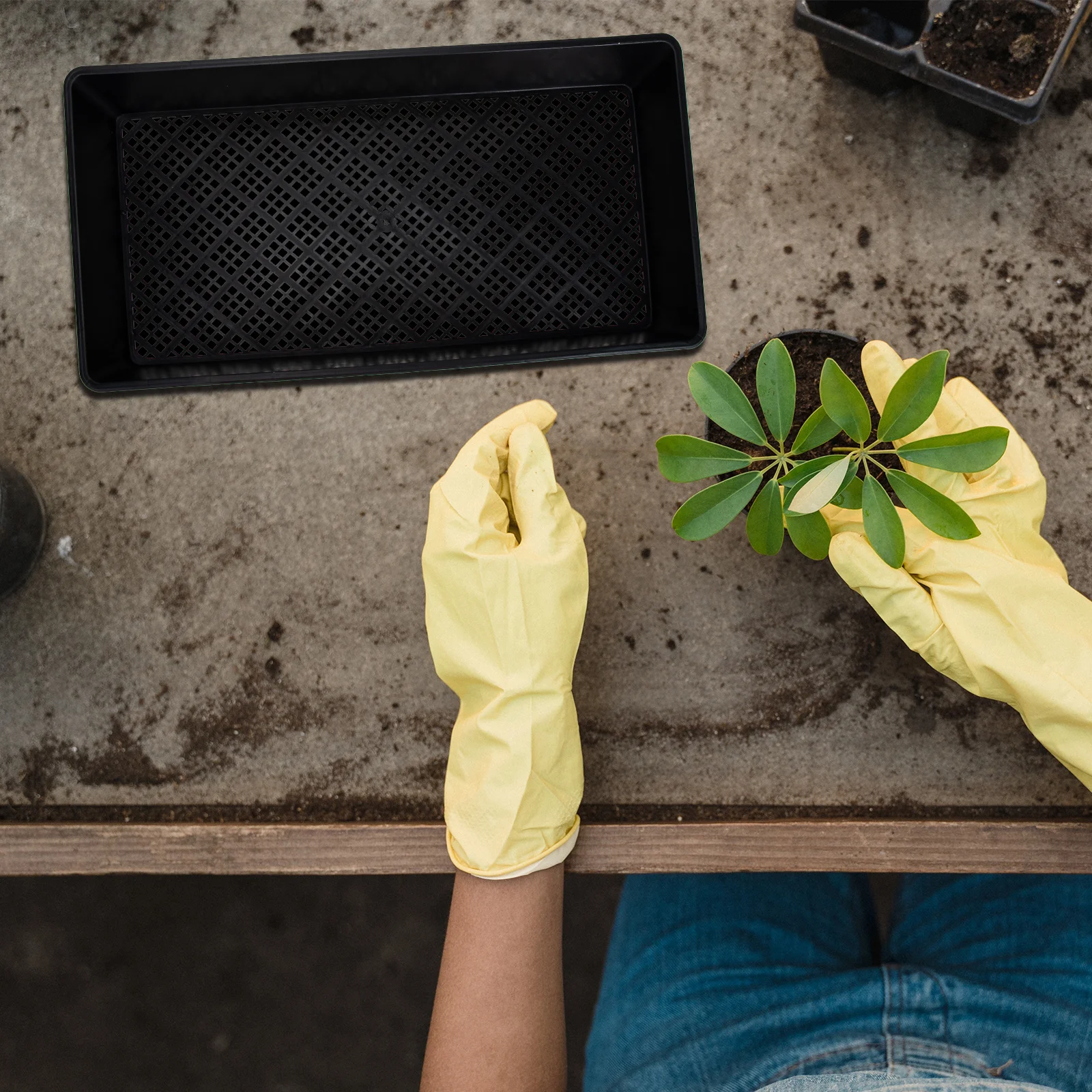 6 قطعة صواني إنبات النبات قسط البلاستيك دائم Microgreens تزايد الحاويات الحضانة البذر صينية صينية زراعة النباتات