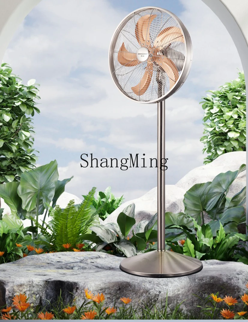 ZYY ventilatore elettrico in metallo dal pavimento al soffitto Conversione di frequenza CC telecomando supporto a risparmio energetico a doppio scopo