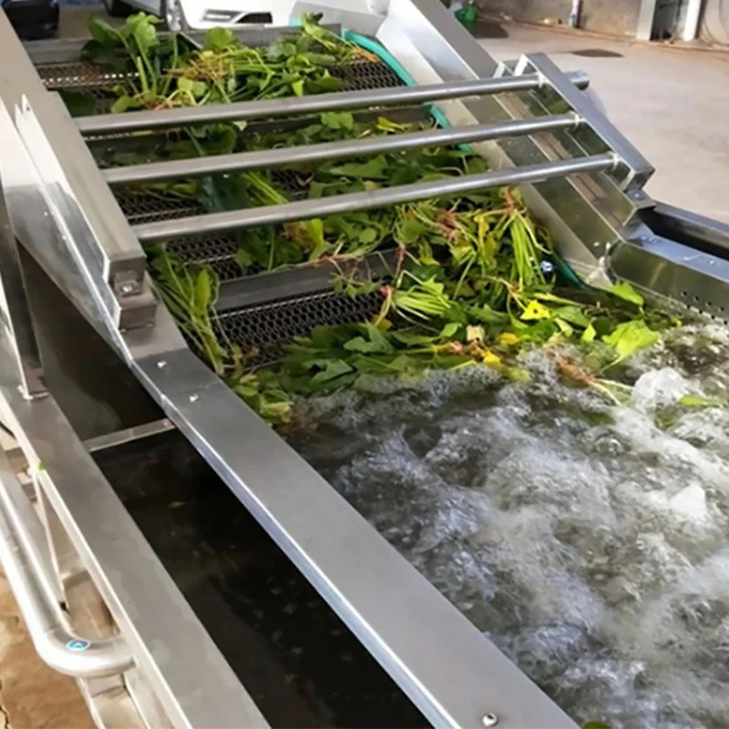 FOODLINE Beginner Fresh Store Vegetable Washing Machine One Key Ozone Timing Disinfect Soft Berry Strawberry Grape