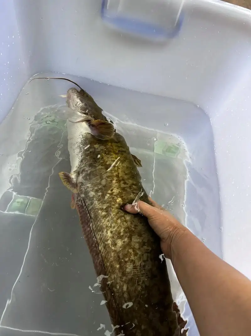 

Гоночные шины 4 шт. 78*30 мм 12 мм адаптер для радиоуправляемой модели 1/10 аксессуары для раллийных автомобилей