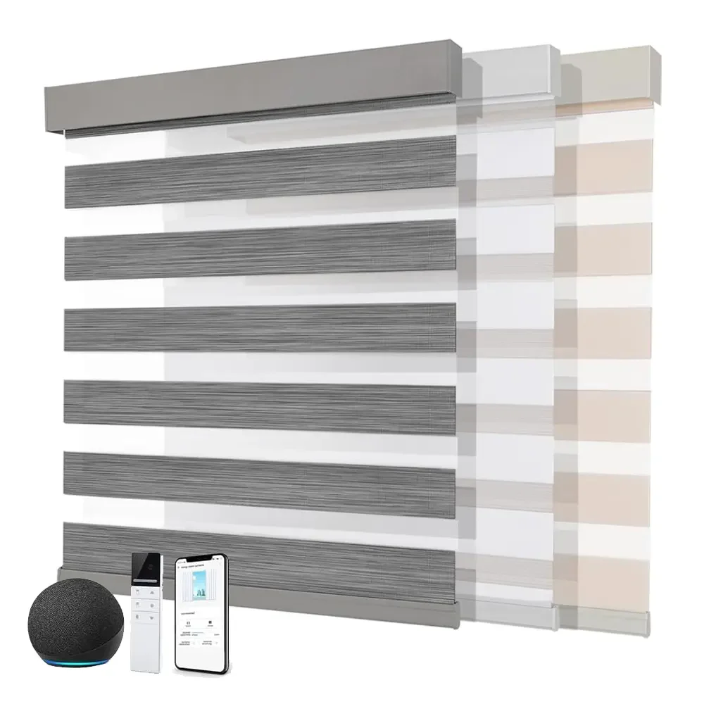 Customized Blackout Smart Tuya Google Wifi Control Exchangeable Motor Dual Layer Roller Zebra Blinds For House
