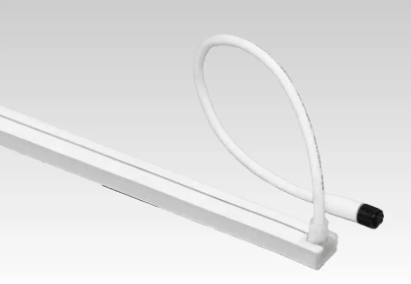 DC24V LED Neon Light Strip IP67 Silica Gel Flexible Rope Light 6W/10W 180lm/M 320lm/M CRI≥90 for Outdoor Building Decoration