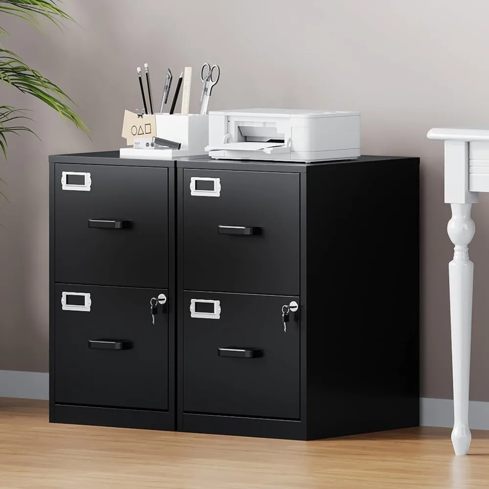 2 Drawer Locking File Cabinet, Metal Vertical Storage for Home Office, Letter Size, Black