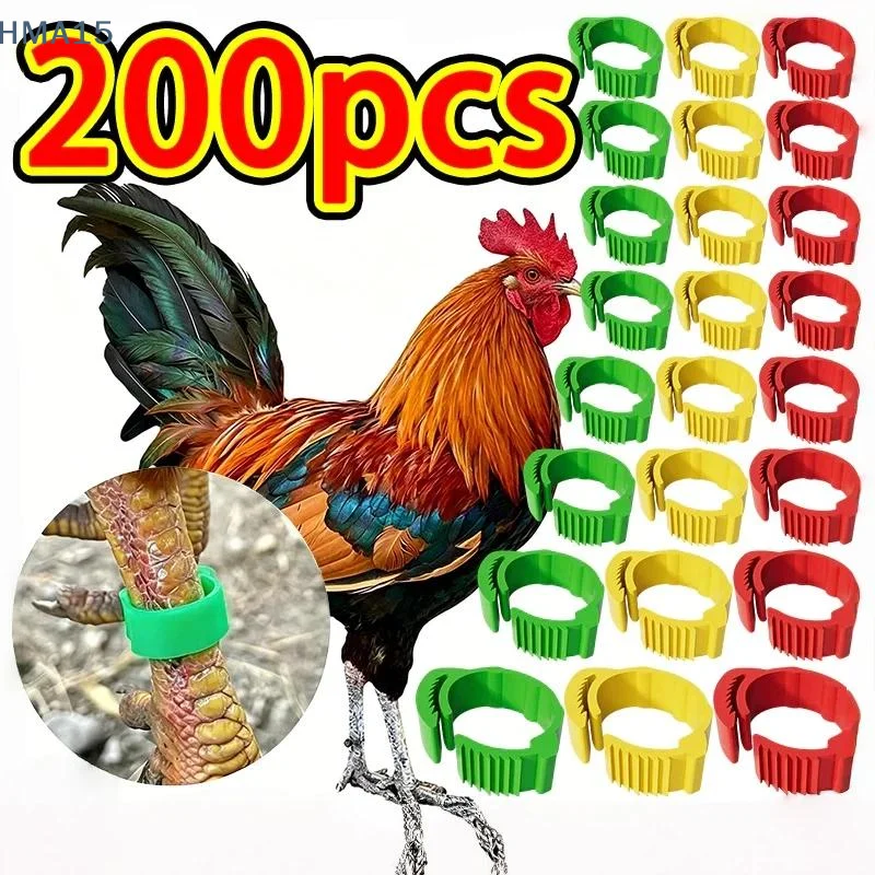 【YA】Adjustable Chicken Leg Bands 100 Pack Soft No Number Buckle Design Poultry Identification Rings for Home Farm Duck Raising