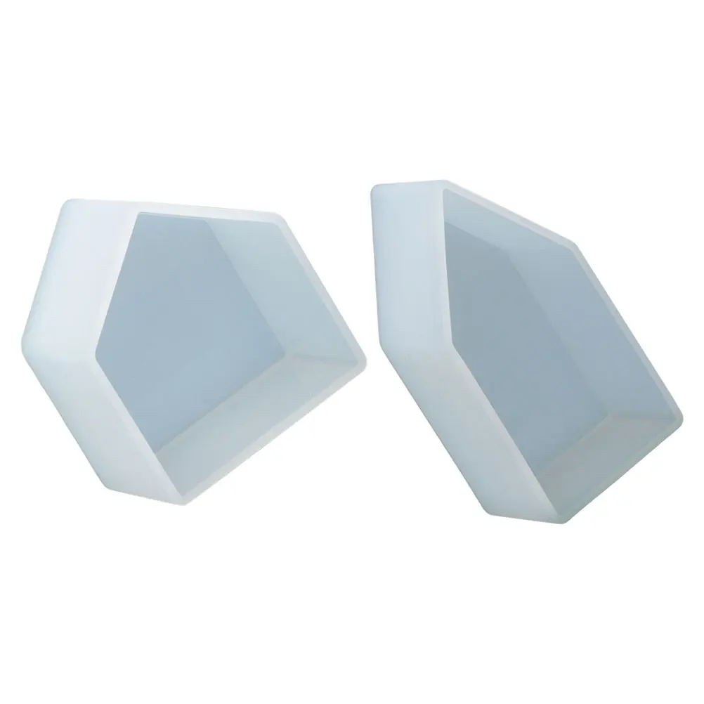 

2pcs Silicone Molds Epoxy Resin Shaped Decorative Specimen Easy Clean Storage DIY Premium Material