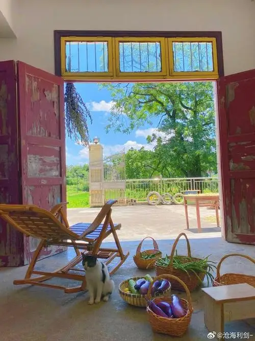 

Metal 48P Spur Gear 92T 85T 80T Pinion 18T 19T 20T 21T 22T 23T 24T 25T 26T Motor Gears For Sakura R31 G31 SCX10 AX10 Traxxas HPI