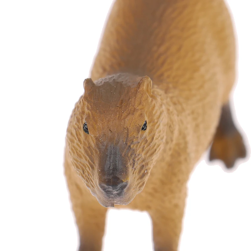 Nieuwe Simulatie Mini Schattige Wilde Dieren Model Beeldjes Capibara Actie Figuur Kinderen Collectie Speelgoed Cadeau